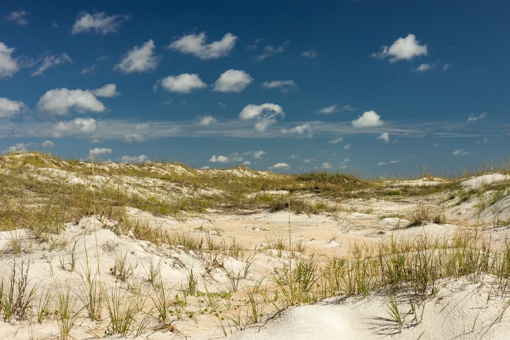 The Best Things to Do at Anastasia Island State Park