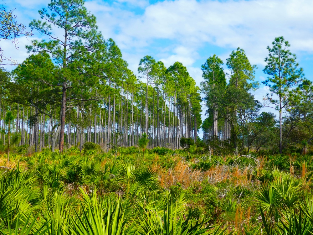 State Parks Near St. Augustine